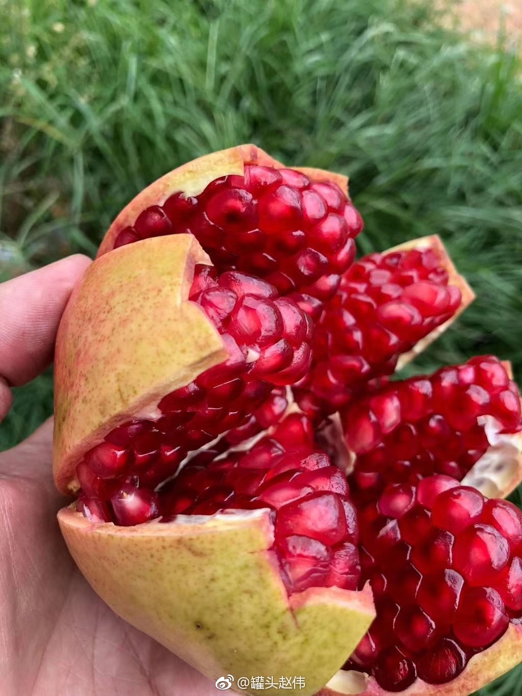 雅诗兰黛都有打折的时候|雅诗兰黛|红石榴|红玛瑙_新浪新闻