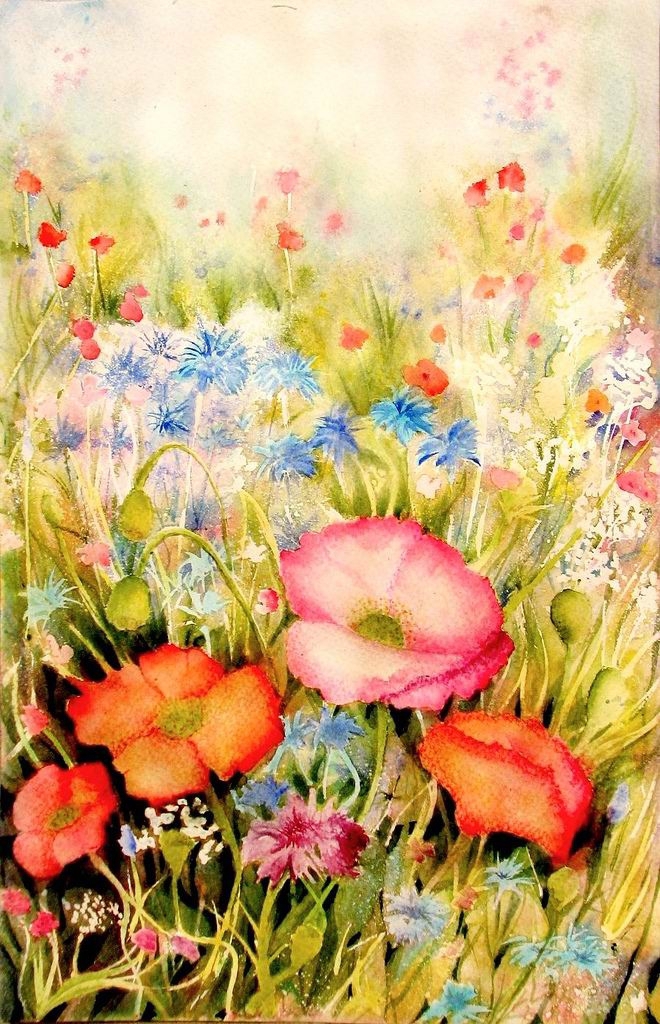 繁花似锦美丽的水彩花卉anarodriguezcarrington
