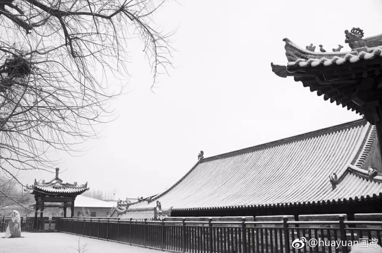 古观音禅寺因网红银杏树大火,冬天与夏天的佛门清幽来感受一下
