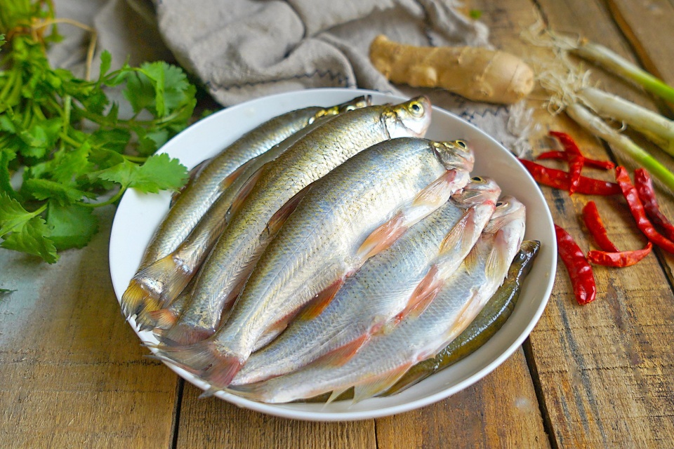 一边吃一边给我津津乐道的说起参子鱼来.