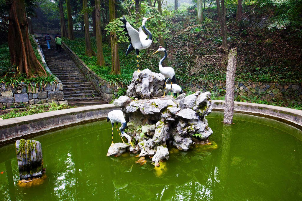 在芦花荡公园的右侧有一片莫干山碑林,爱好书法的朋友可以前去品鉴