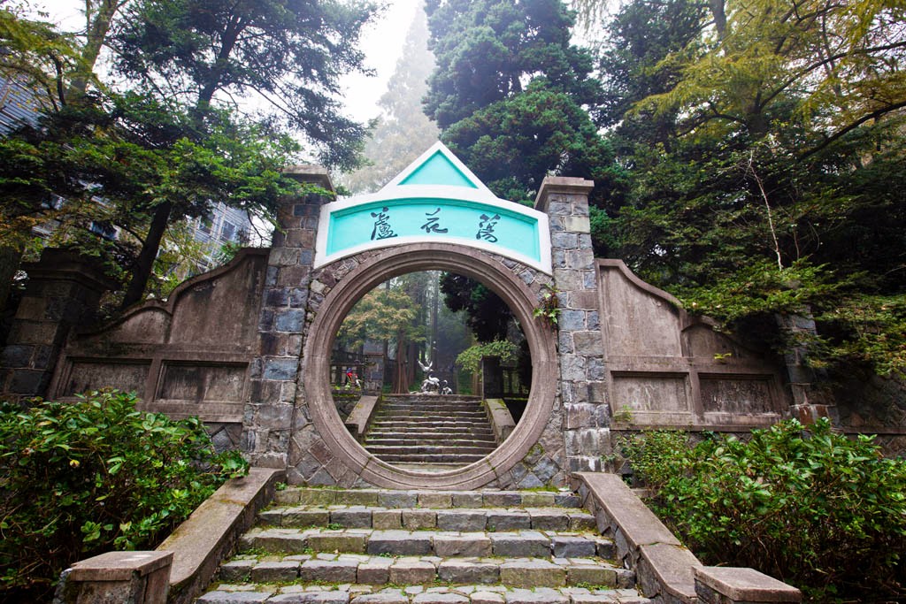 树林葱茏流水淙淙 清凉幽静的芦花荡(同步自