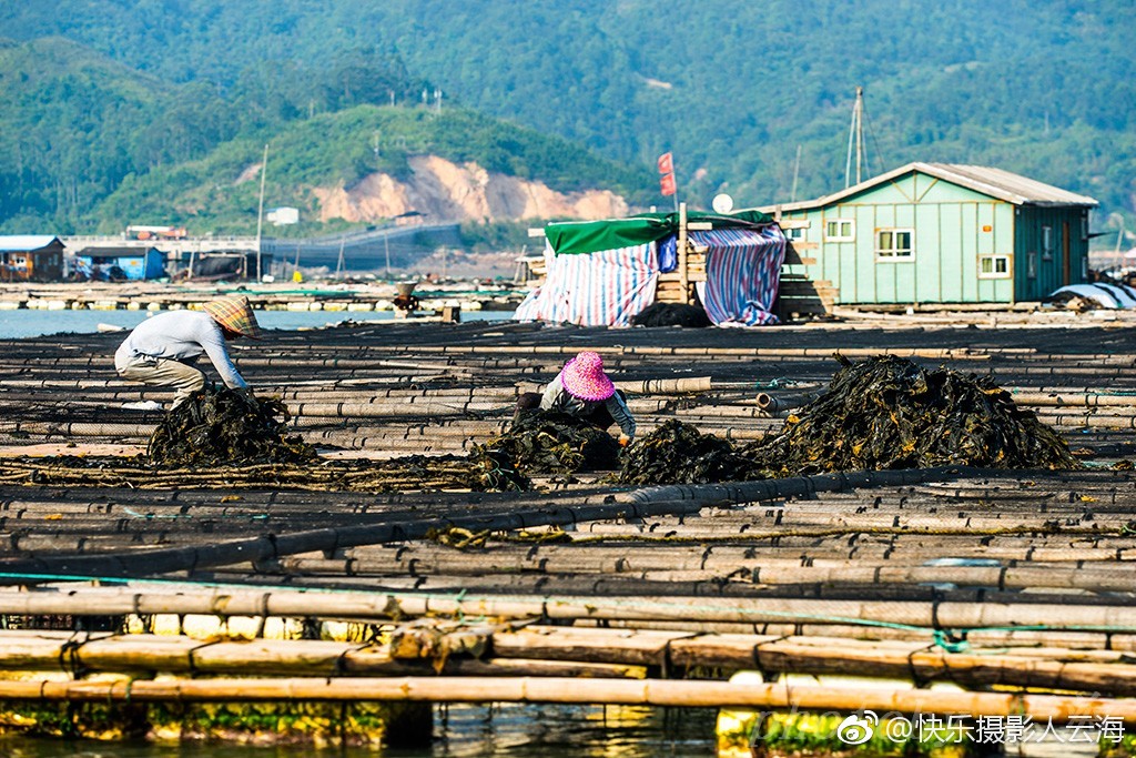 福建霞浦东安渔排海上人家摄于2018年5月