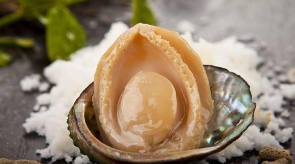 中国故事中的海八珍, 原来有贵族吃才吃的起, 您吃几种呢?