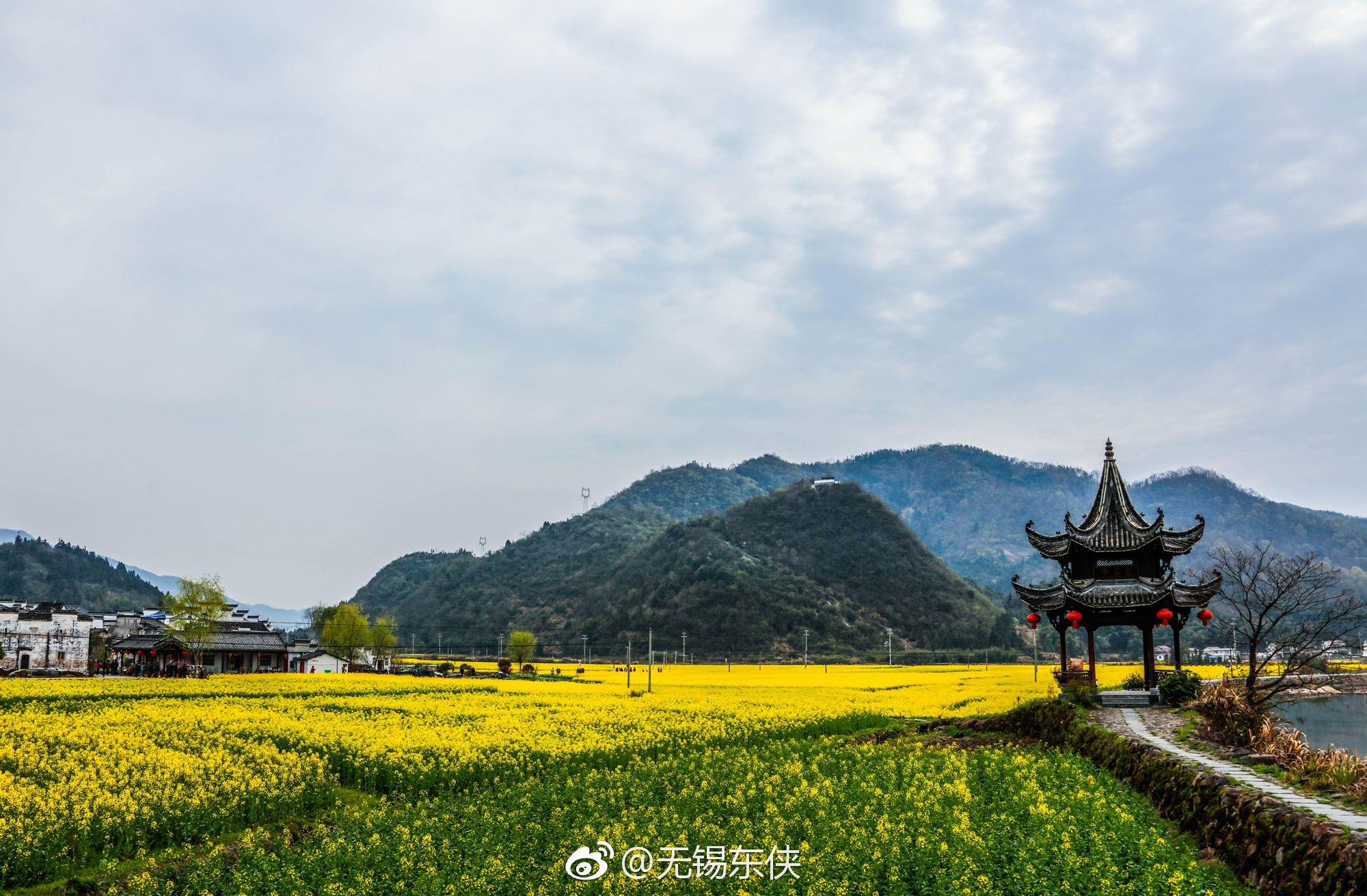 被誉为“中国天然氧吧”的石台县拥有丰富的旅游资源|天然氧吧|皖南|石台县|油菜花海|粉墙黛瓦_新浪新闻
