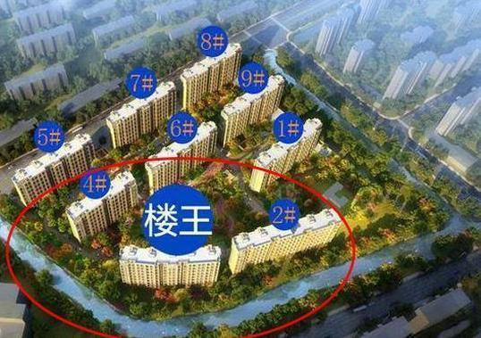 老人活动区等等,但真正的楼王并不是离这些越近越好,因为这些位置人流