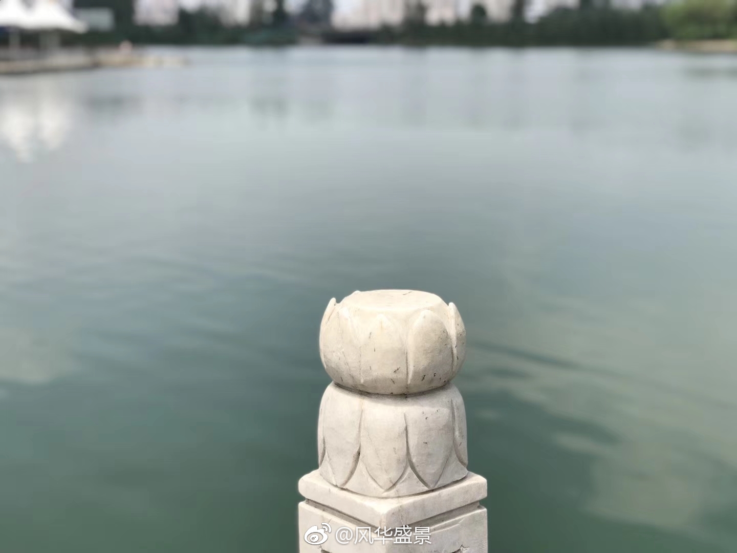 江南可采莲，莲叶何田田