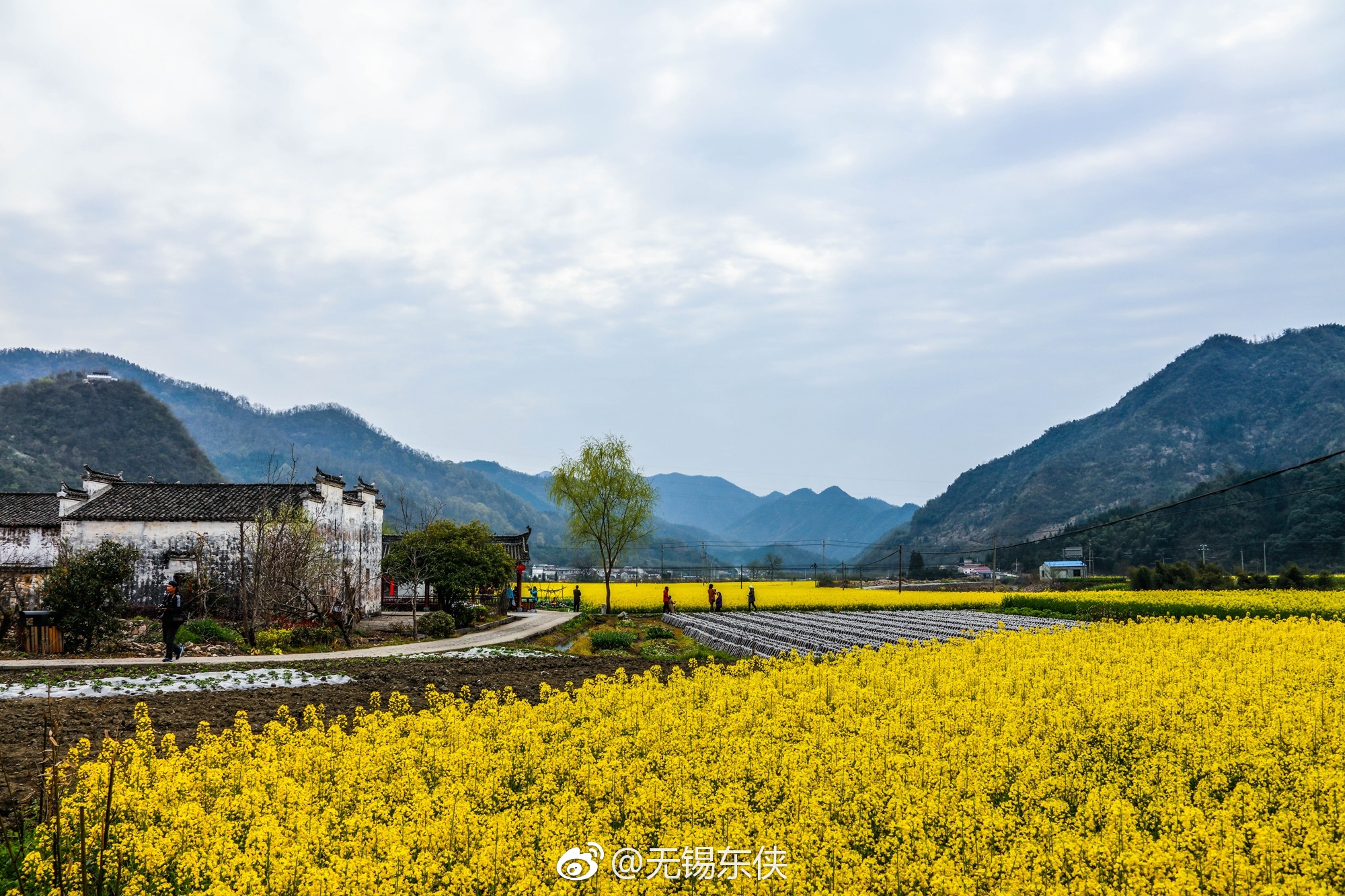 被誉为“中国天然氧吧”的石台县拥有丰富的旅游资源|天然氧吧|皖南|石台县_新浪新闻