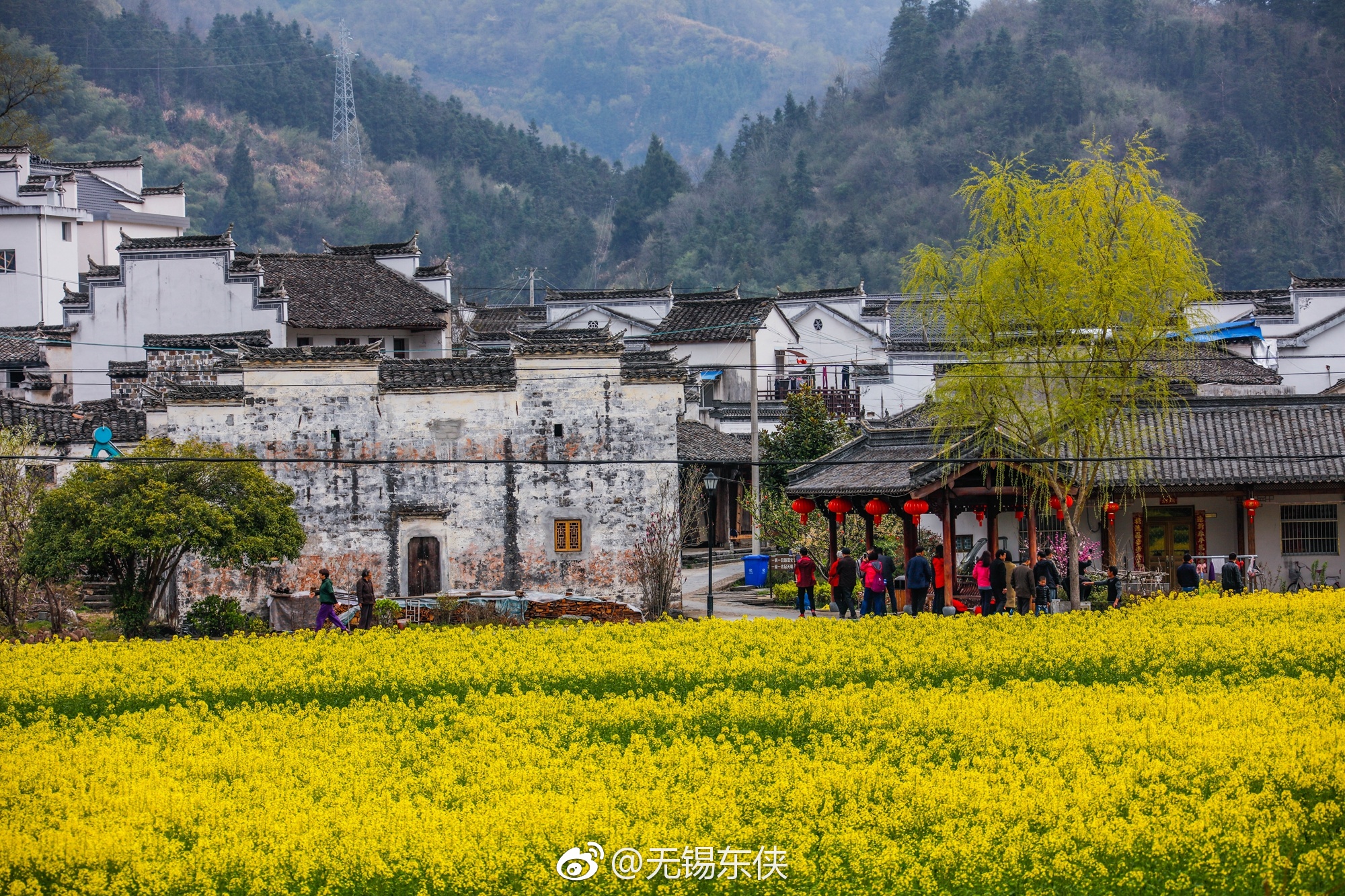 最新报道显示,虎石台公园站女几点开始有活动？周围人群与安全指南解析