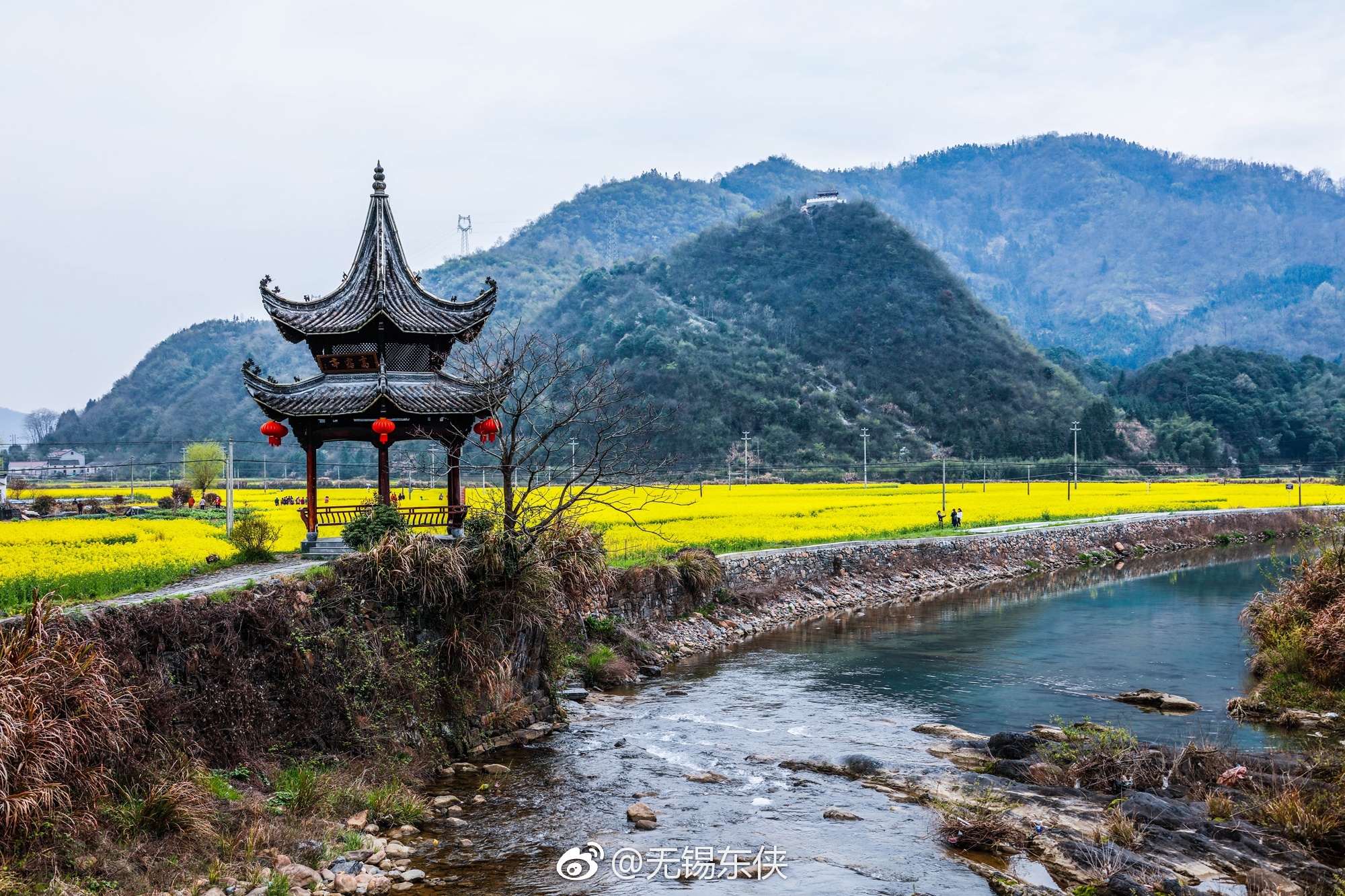 被誉为“中国天然氧吧”的石台县拥有丰富的旅游资源|天然氧吧|皖南|石台县|油菜花海|粉墙黛瓦_新浪新闻