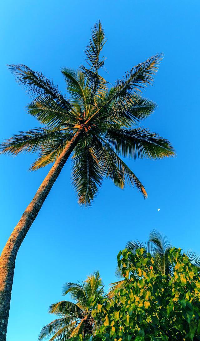 夕阳残照 海阔天空 手机壁纸