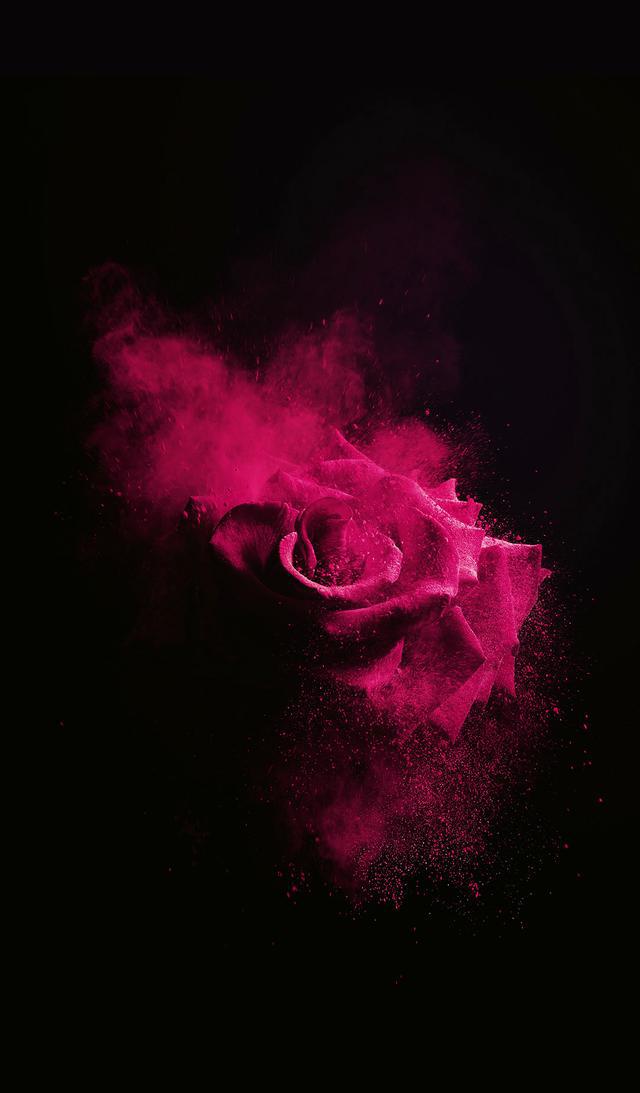 壁纸黑色系唯美清新的壁纸嗯还像我一样的小清新