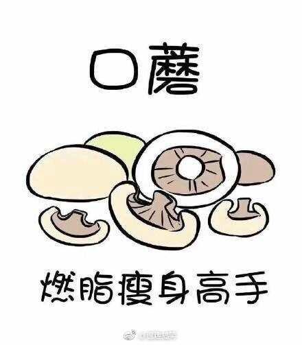 越吃越瘦的食物,分享给大家,转需get√_新浪看点