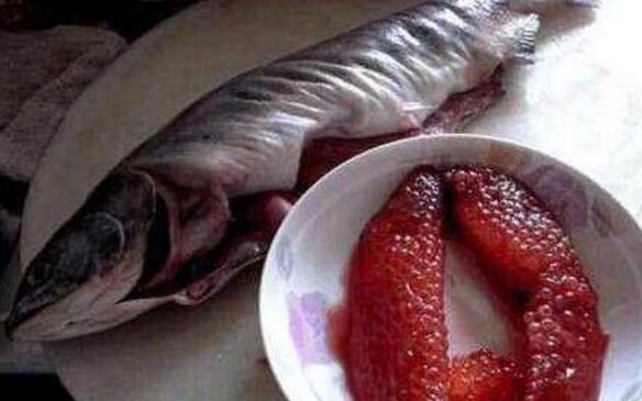 臭水沟捡到一条马哈鱼,没想到还有意外惊喜