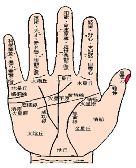 十字驿马纹手相的人容易在贵人的帮助下名利双收