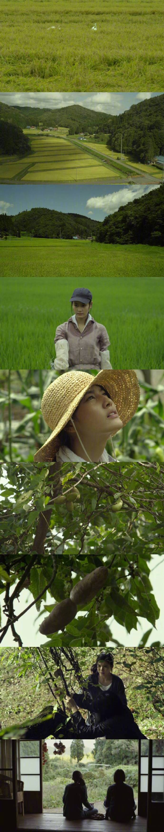 " 那些静得只能听见呼吸的日子里,你明白孤独即生活|小森林|电影|生活