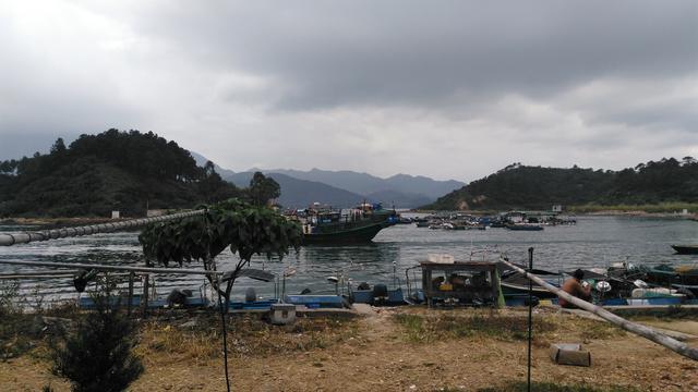 小桂东升村,惠州大亚湾一条岛上的渔村