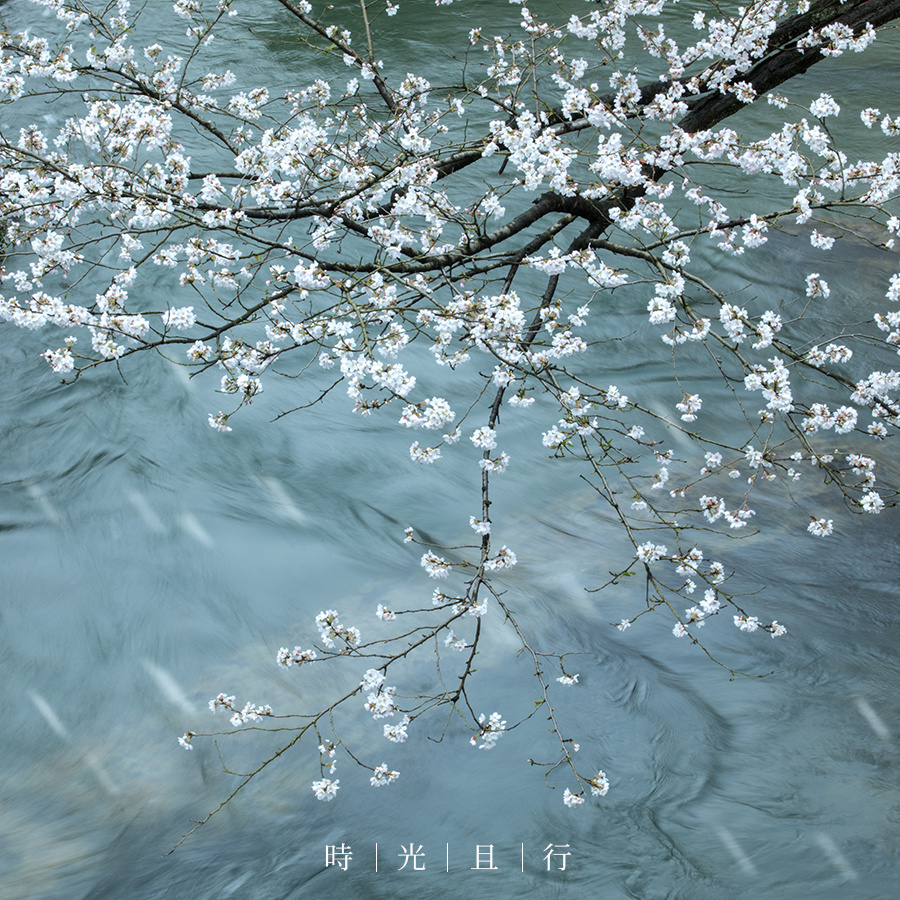 清明烟雨春生念故人