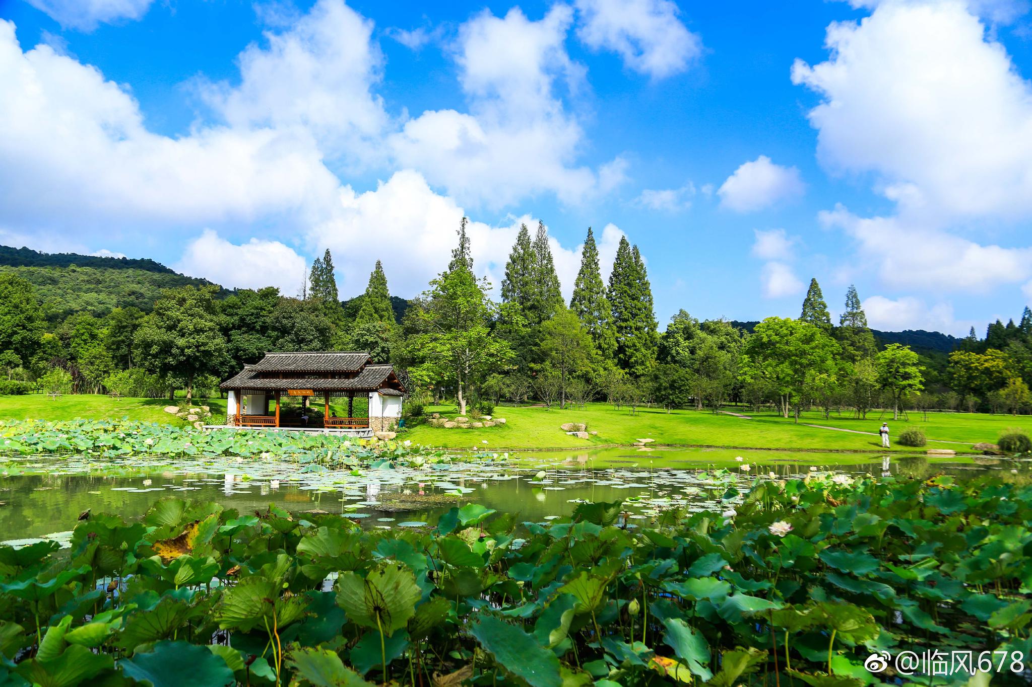 雨后的植物园更加的清新自然防佛走进了大草原