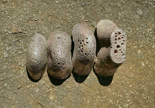 村民地里挖出几个铁疙瘩,村长闻讯赶来:地里挖出来的,必须上交