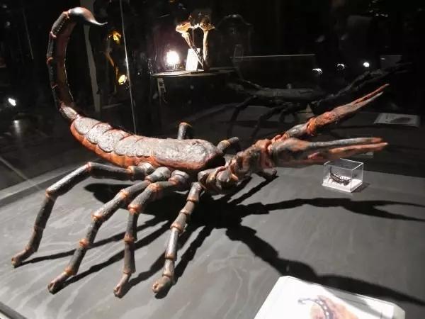 幸好这几种动物灭绝了要不然人类很难撑到今天