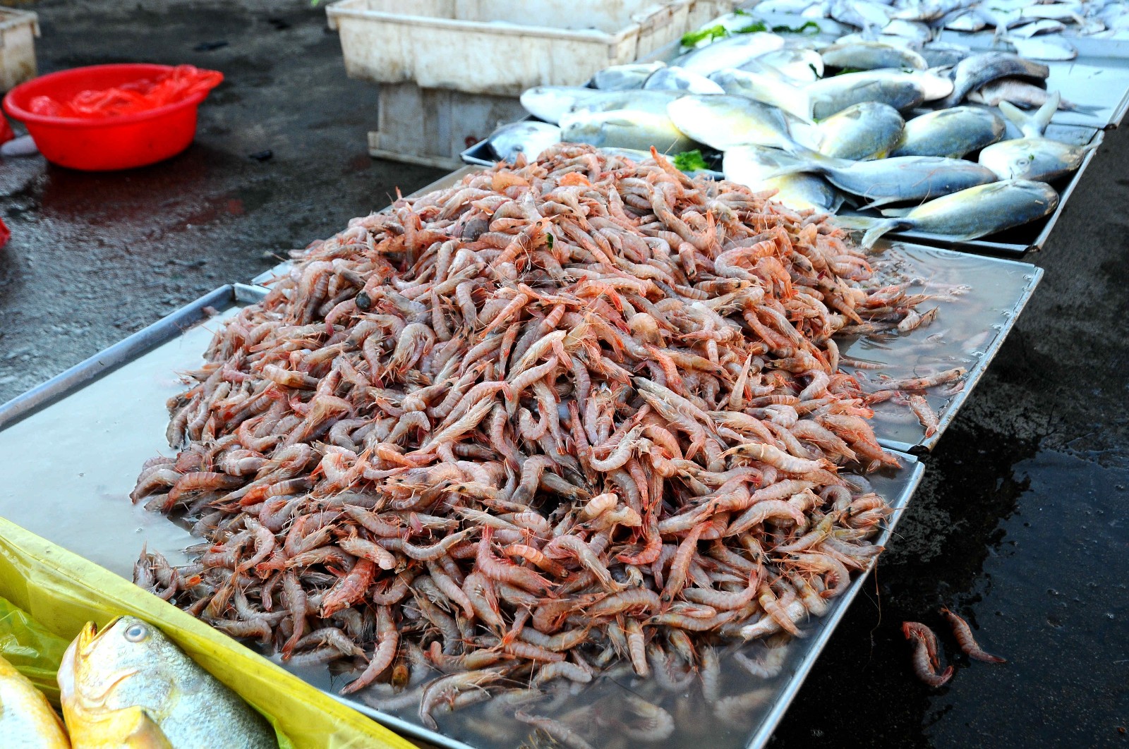 六月来青岛搭配扎啤的3种小海鲜味道鲜的让人忘不了吃过都说好