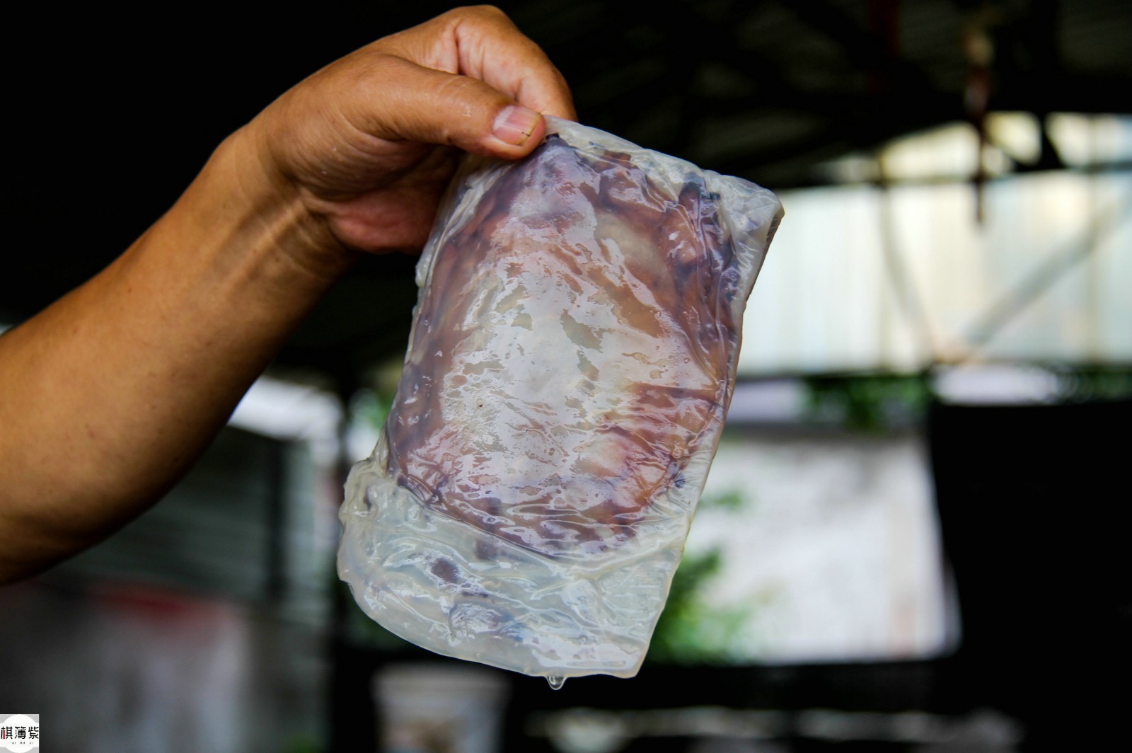 海蜇加工厂探秘:每天加工5万斤,海蜇皮边子最值钱像肥膘