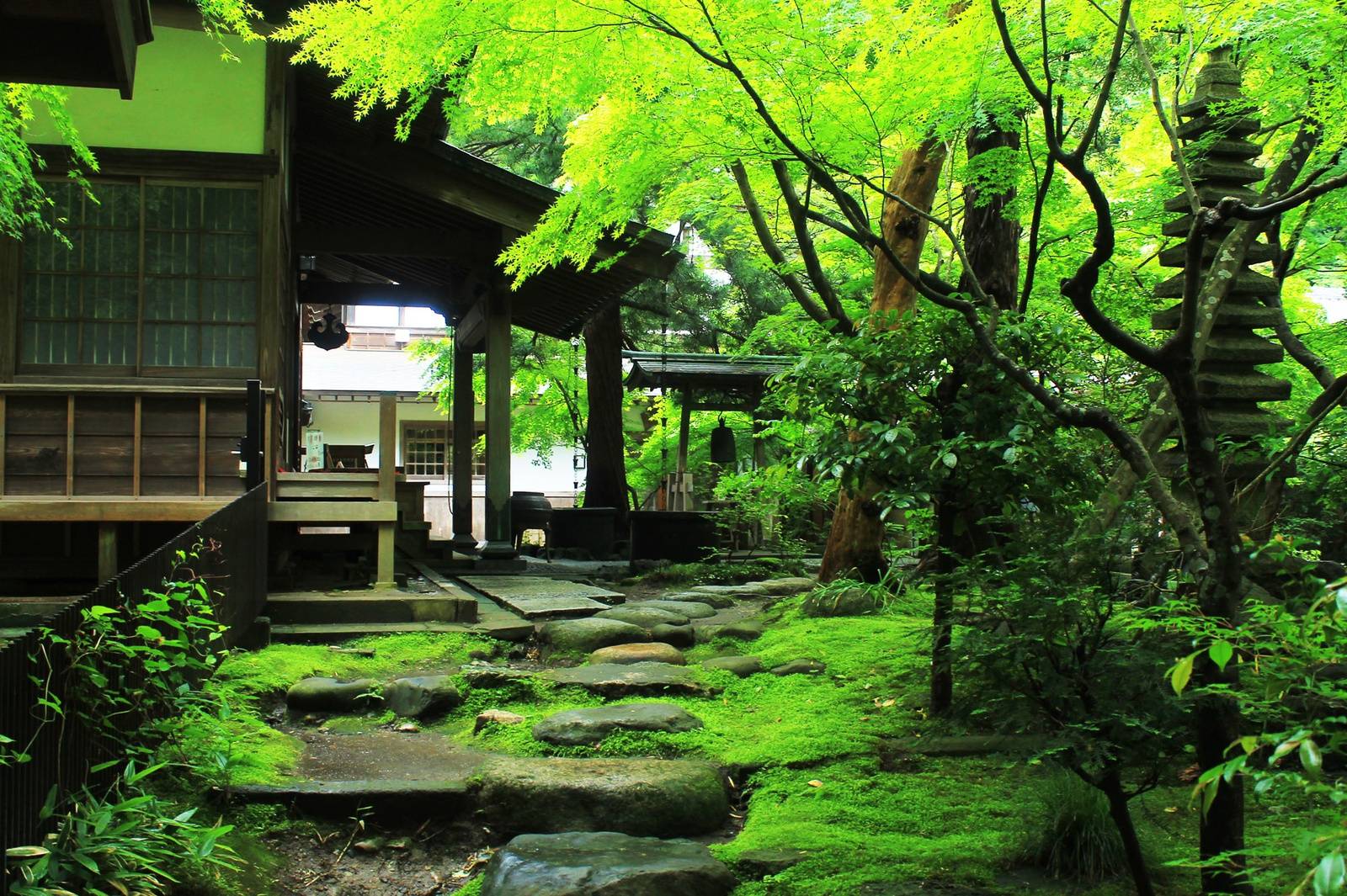 寄隐孤山山下,但一瓢饮水,深掩苔菲.