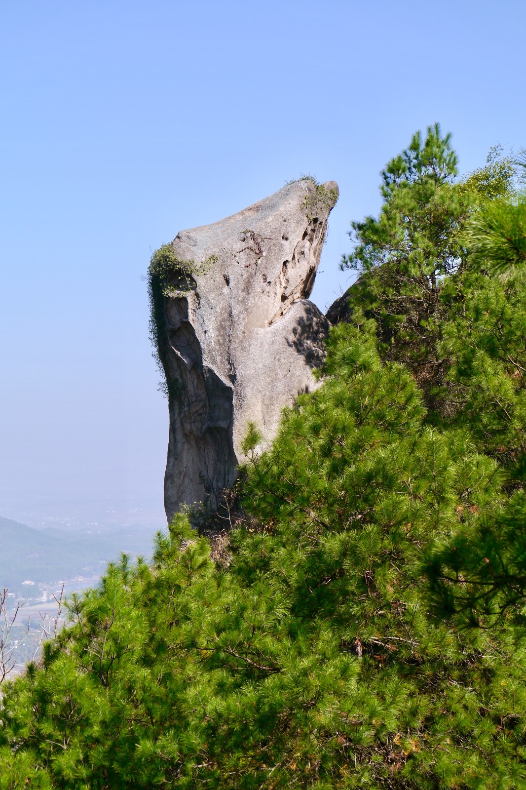 大顶山的秋【湖北 武汉 黄陂区大顶山】|大顶山|黄陂区|武汉_新浪新闻