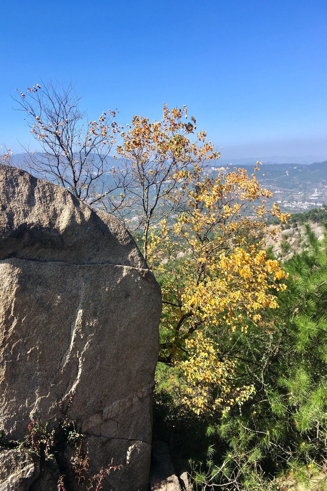 大顶山的秋【湖北 武汉 黄陂区大顶山】|大顶山|黄陂区|武汉_新浪新闻
