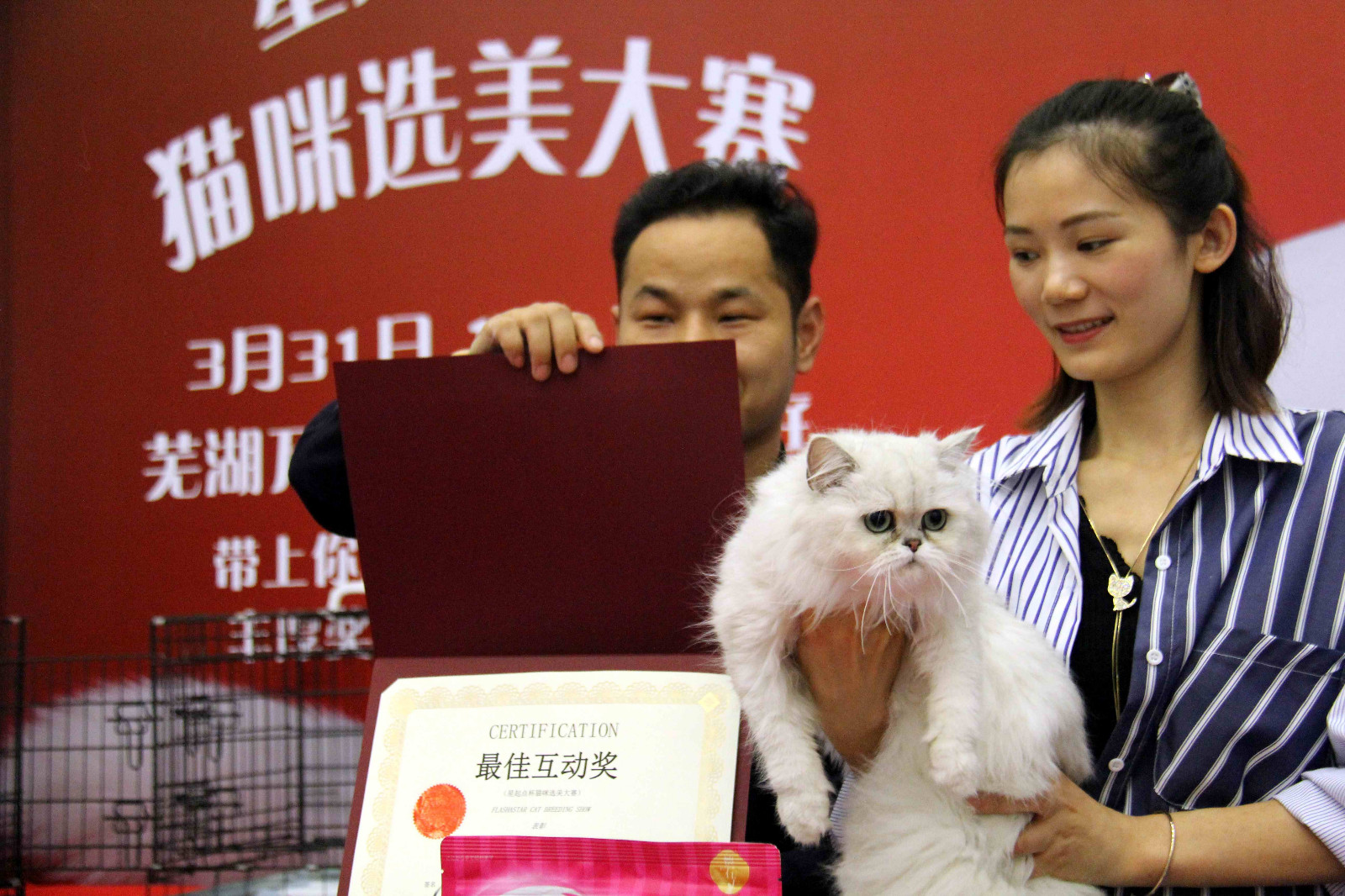 随着人们生活水平的发展,越来越多的宠物猫宝贝走进了平常人的家庭