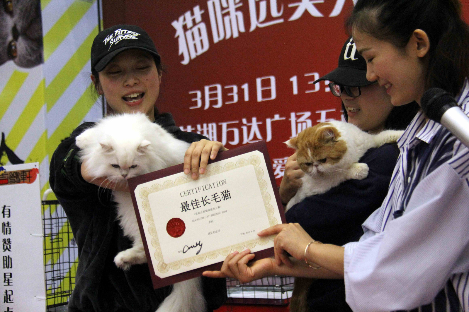 随着人们生活水平的发展,越来越多的宠物猫宝贝走进了平常人的家庭