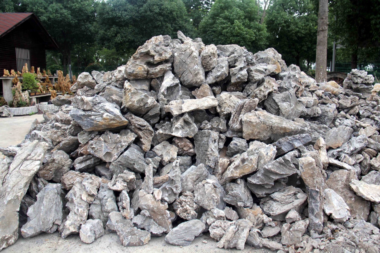 路边一堆石头成了小哥创业赚钱的宝贝