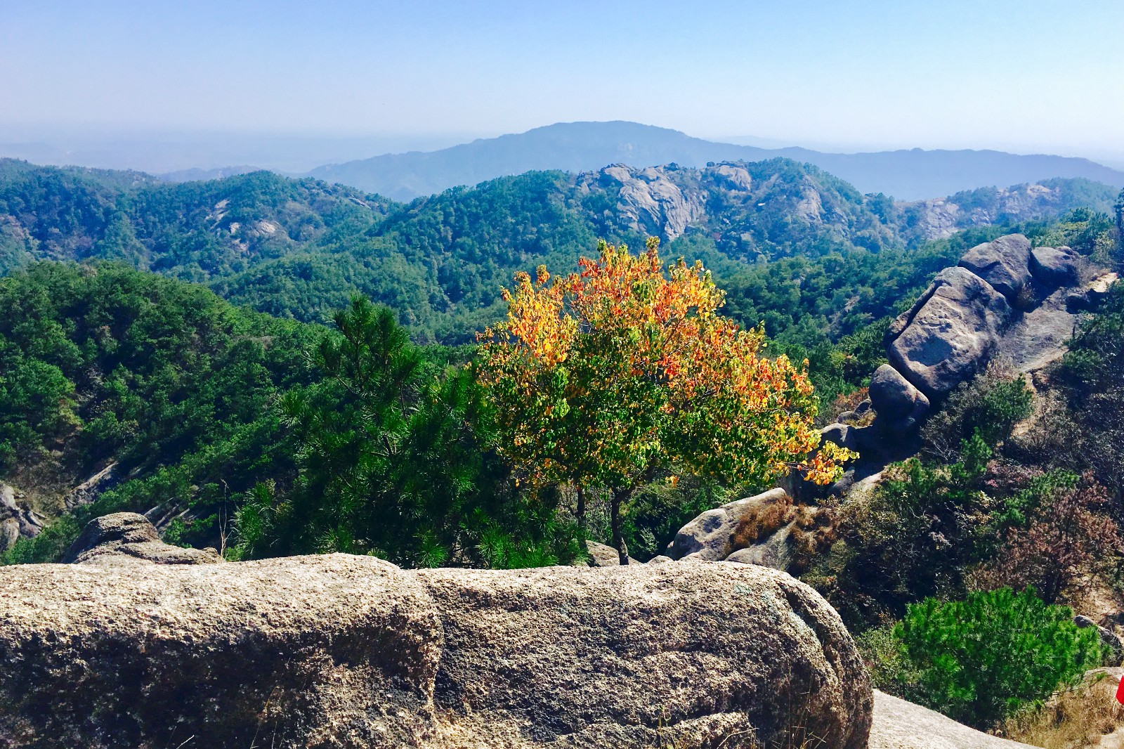 大顶山的秋【湖北 武汉 黄陂区大顶山】