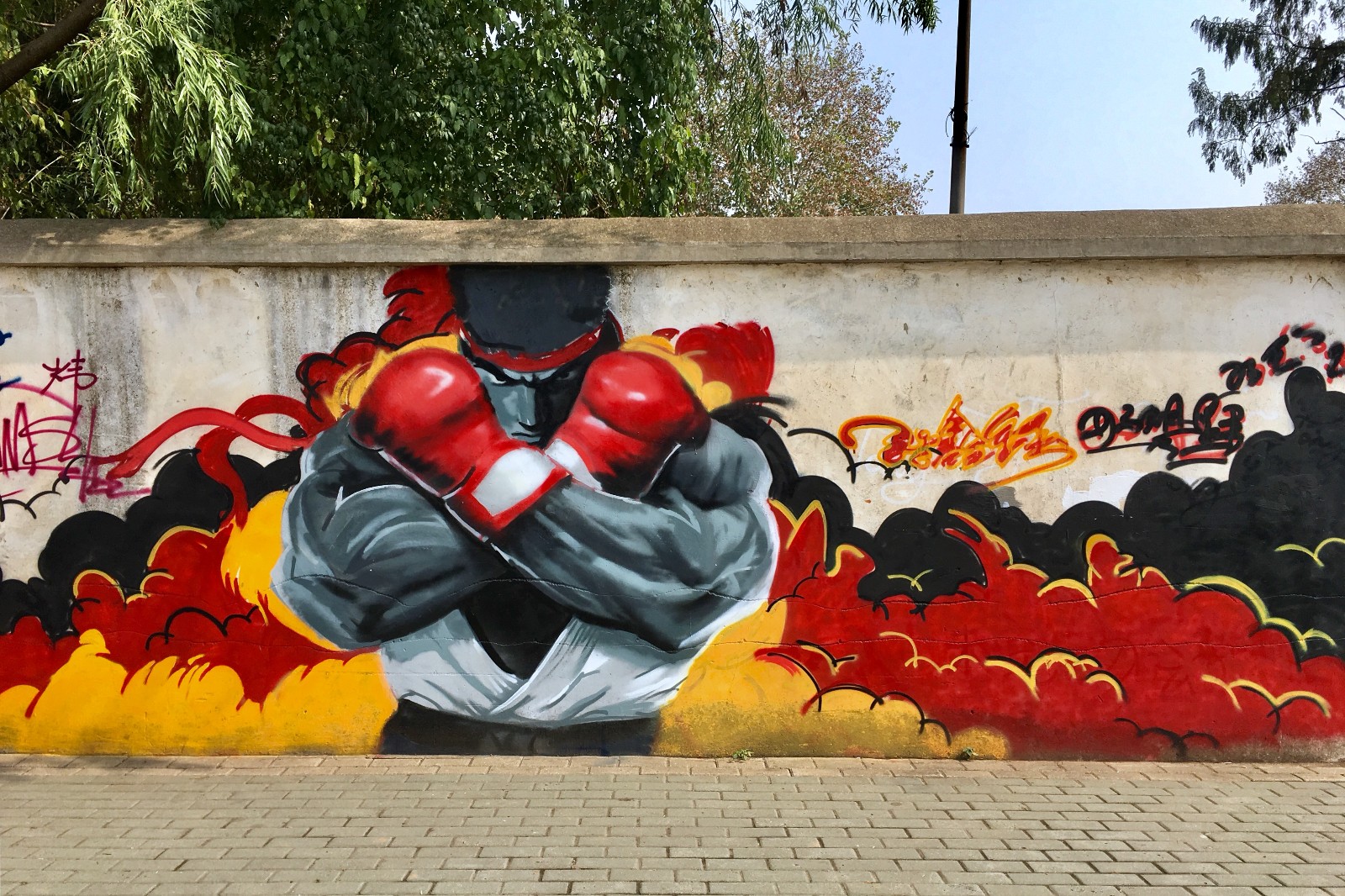 街头涂鸦05湖北武汉华中农业大学校园3