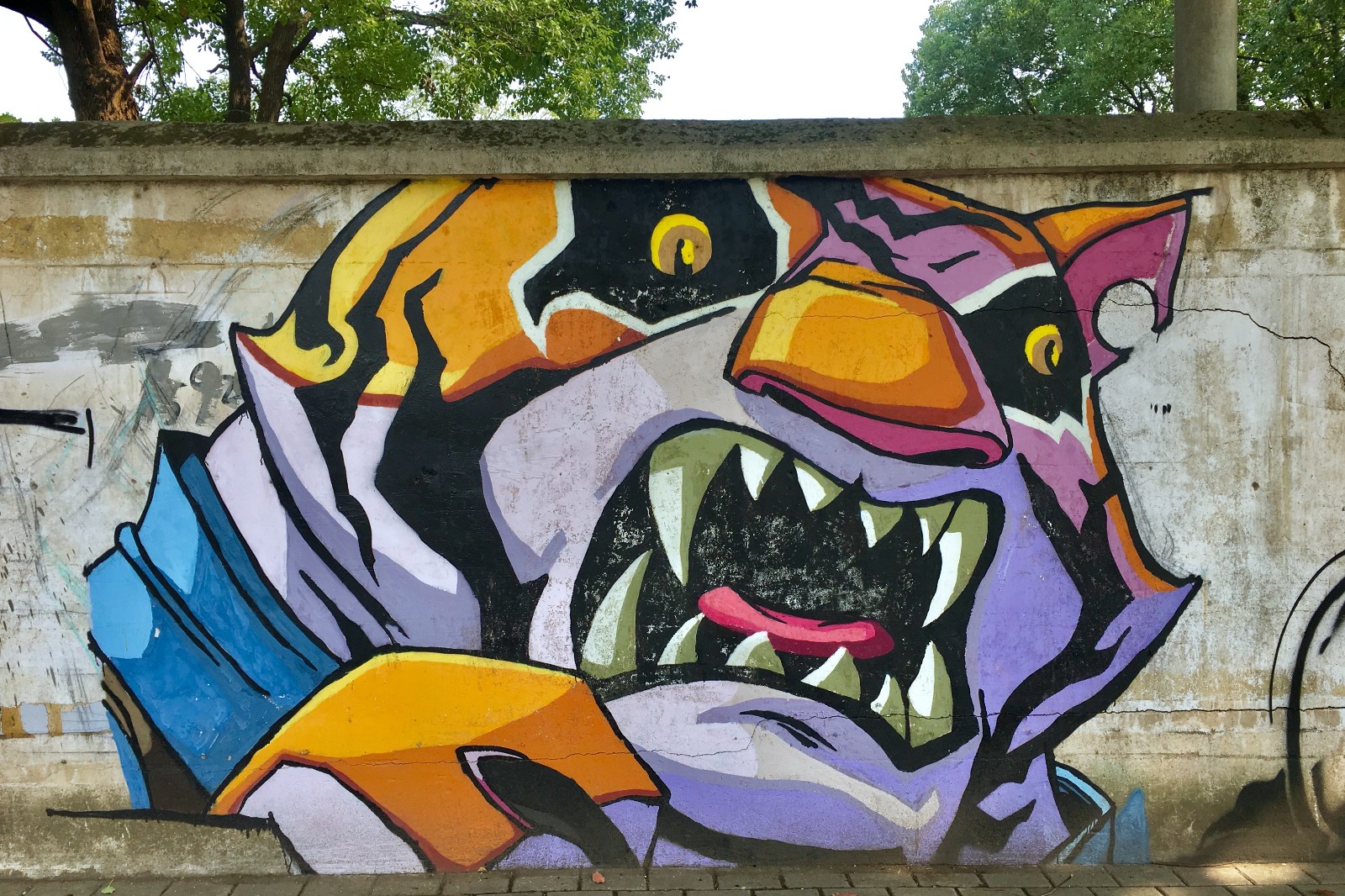 街头涂鸦05湖北武汉华中农业大学校园3