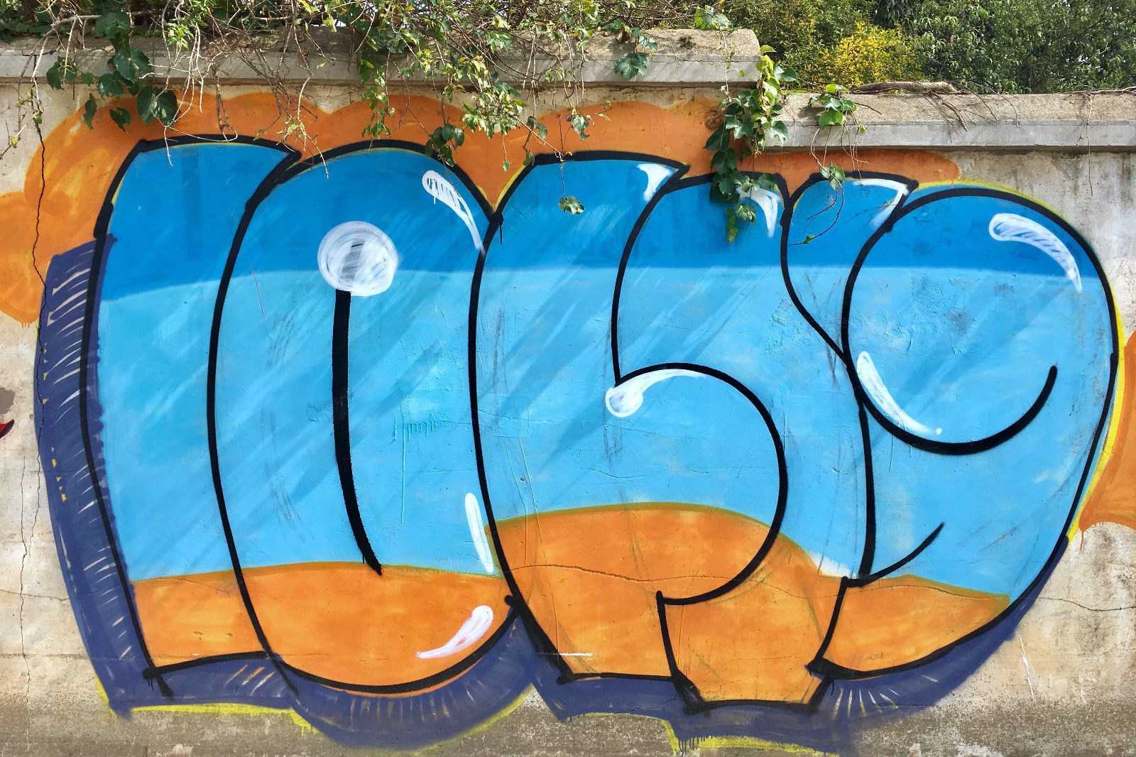 街头涂鸦05湖北武汉华中农业大学校园3