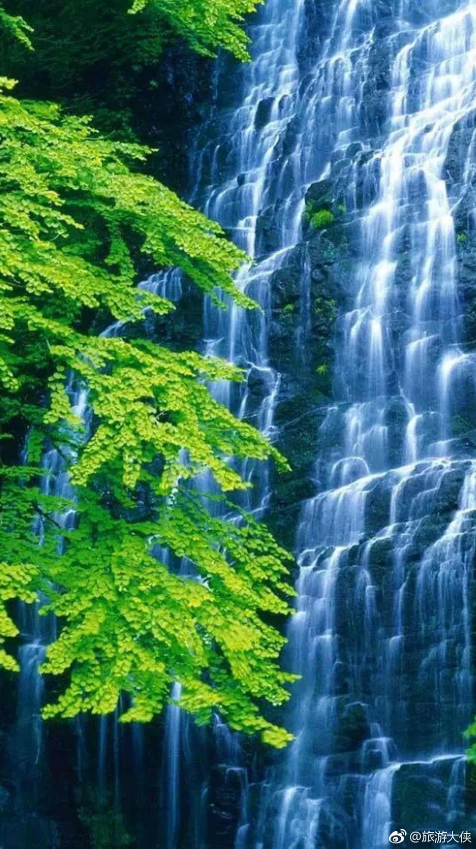 老子的上善若水