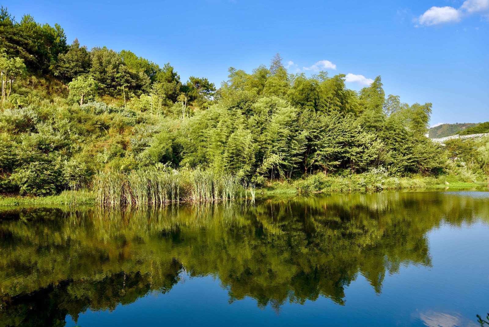 美丽的山山水水【黄陂锦里沟(湖北 武汉)】