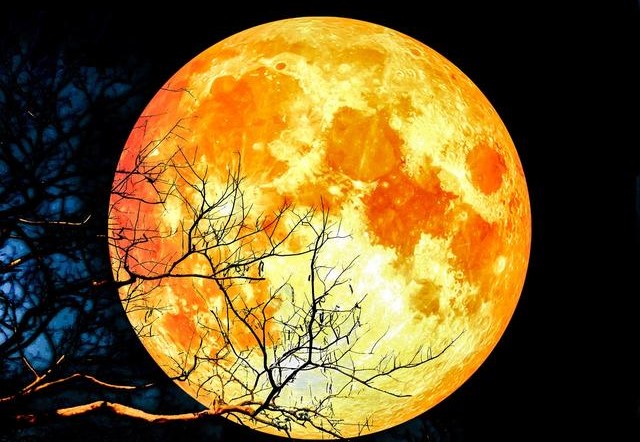 心理学:四个月亮,哪个最美?测出你心中最牵挂的人是谁?