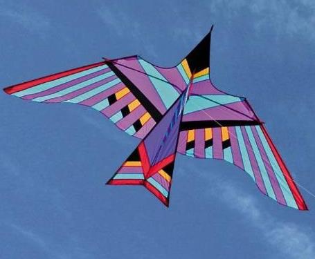 心理学:选一个你最喜欢的风筝,测你暗恋的ta是不是喜欢你?