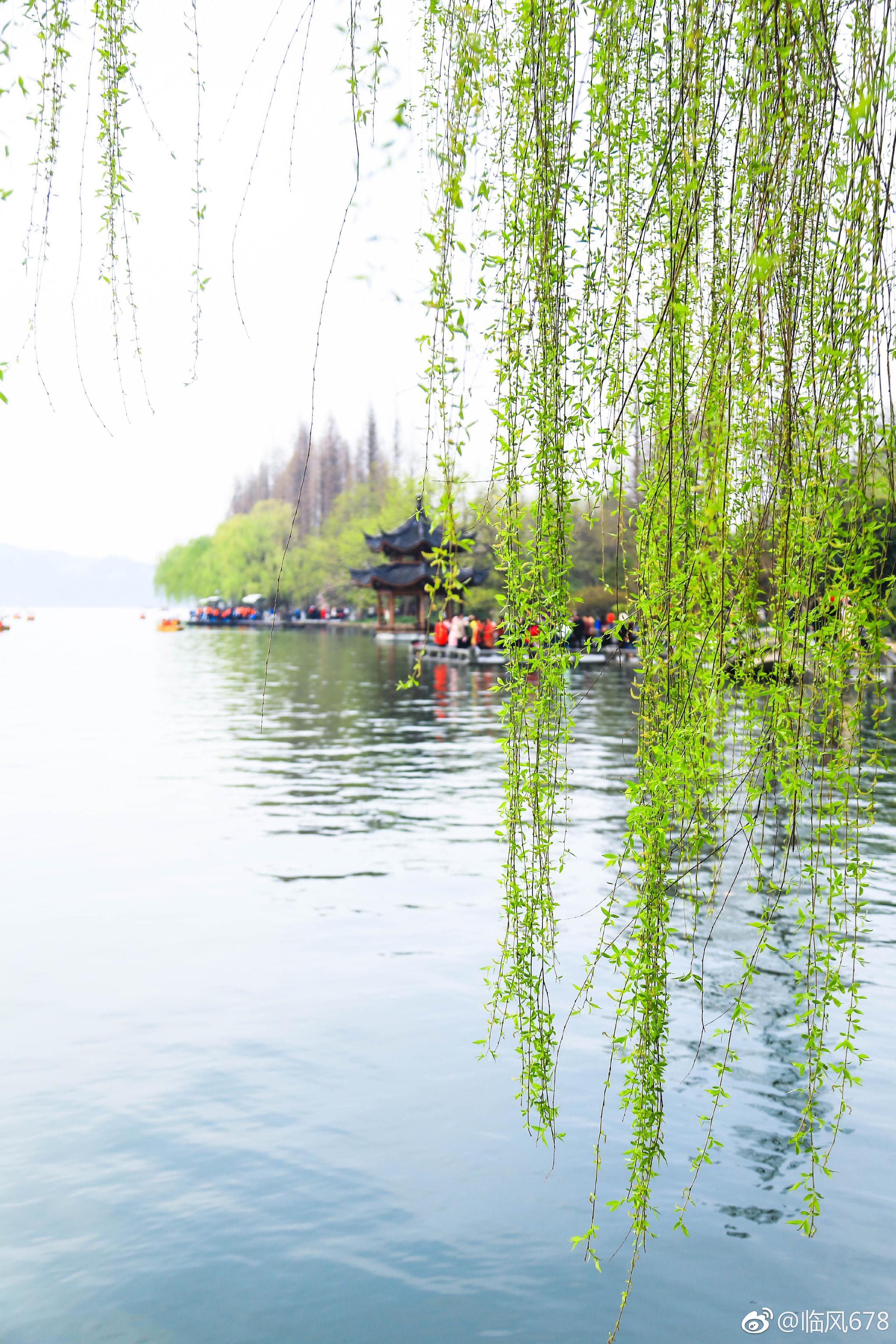 西湖美景三月天 ,春天的西湖永远都是那么美,早安西湖.