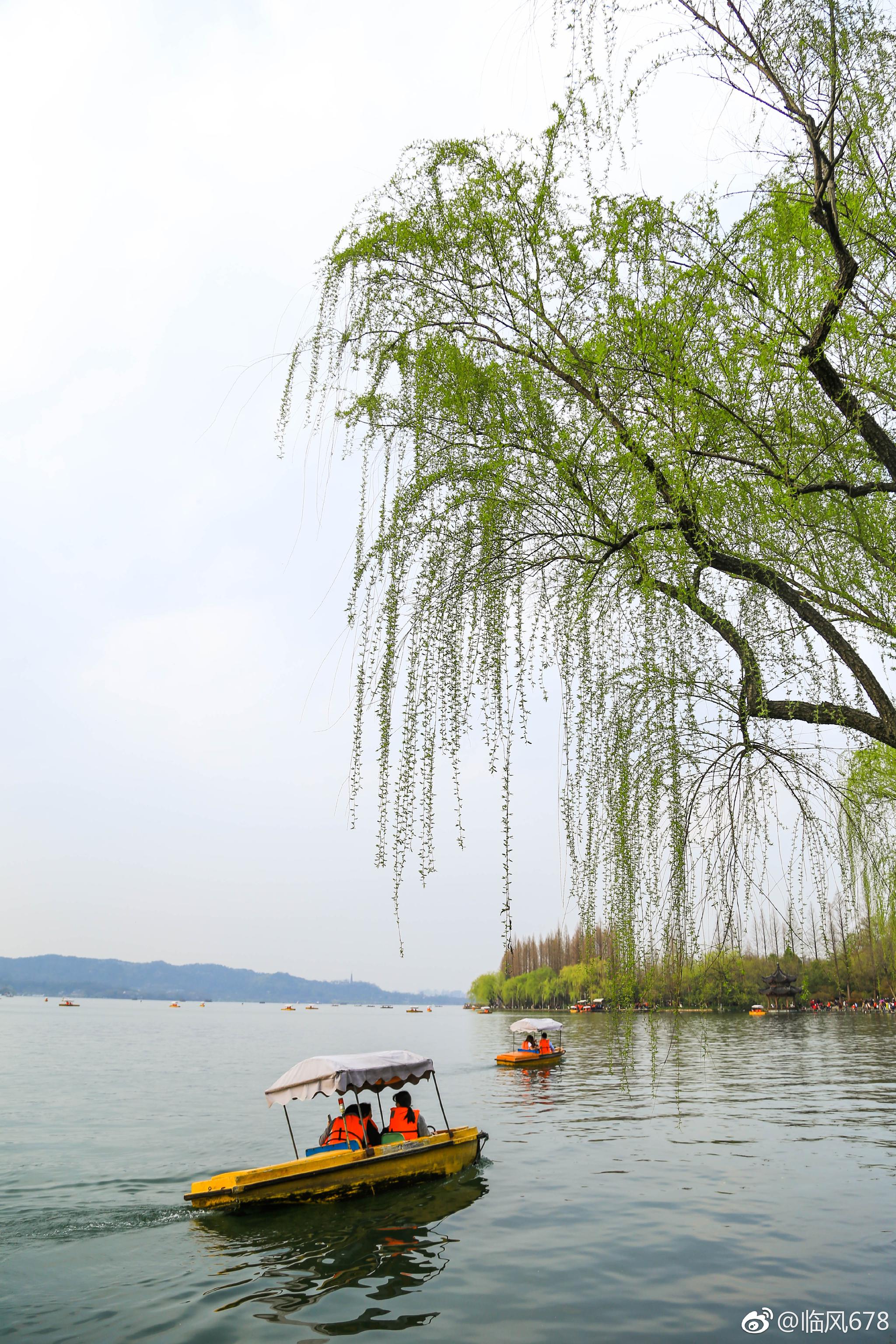 西湖美景三月天 ,春天的西湖永远都是那么美,早安西湖.