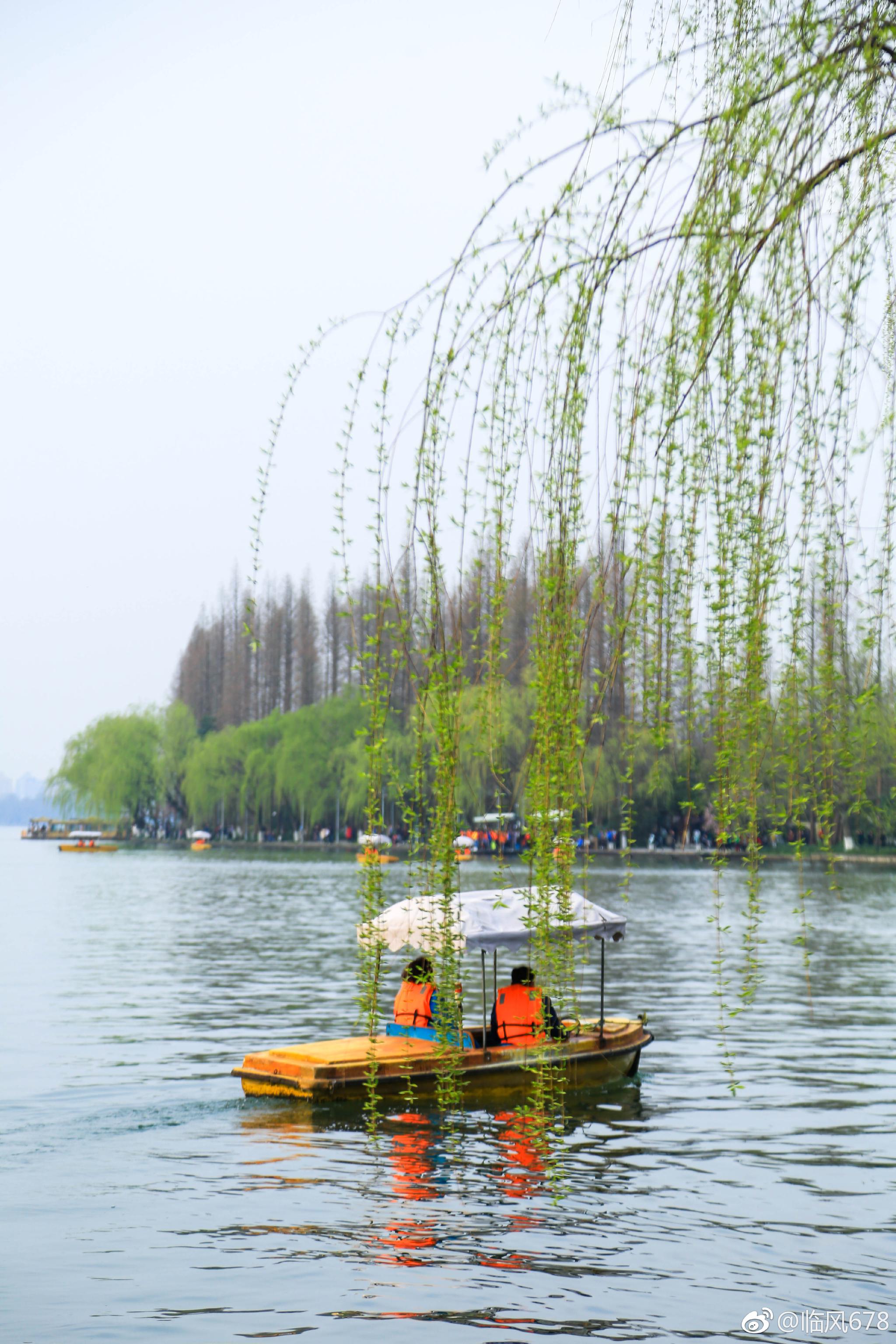 西湖美景三月天 ,春天的西湖永远都是那么美,早安西湖.