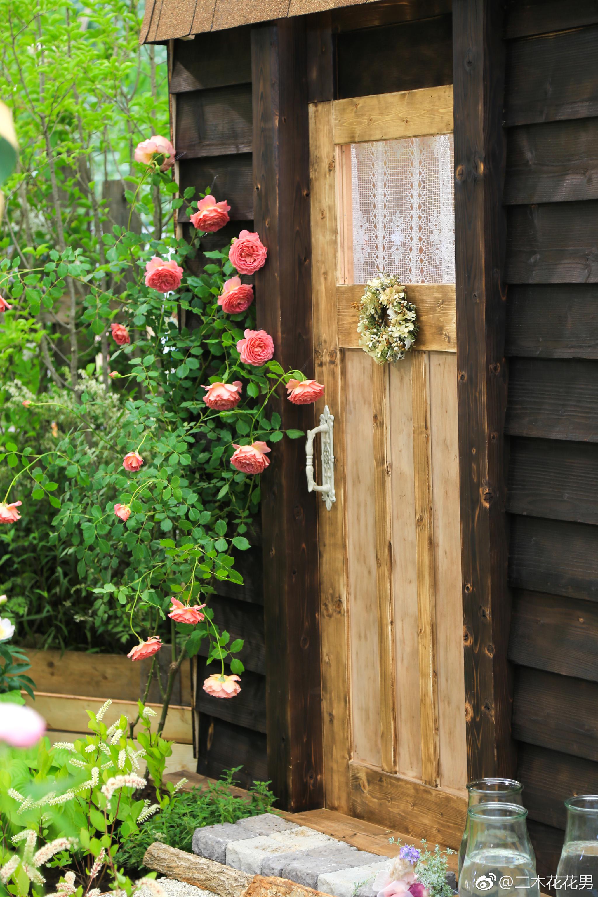 一些花园细节感觉在童话世界里植物颜色搭配都好梦幻哈哈