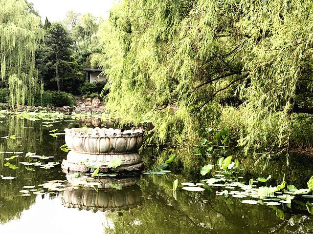 天气越来越热-去这凉快吧|青莲岛|公园|莲座_新浪新闻