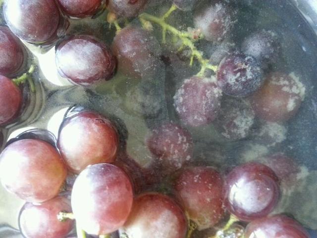 洗了也很脏的3种水果最后一种长满小虫洗5遍都洗不干净