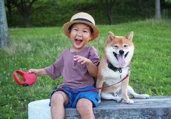 大狗砸和小朋友应该是最暖心的组合了