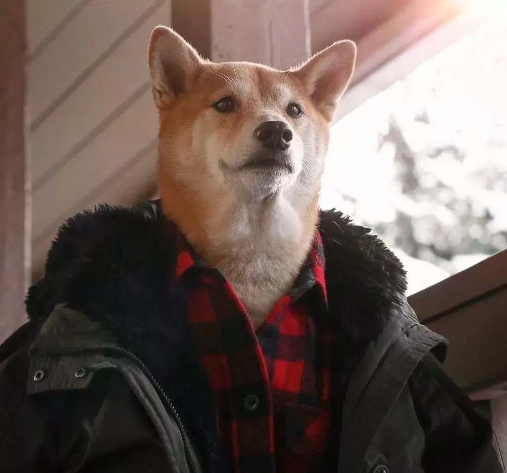 改造男友计划想要钢铁直男变潮男来学学狗子