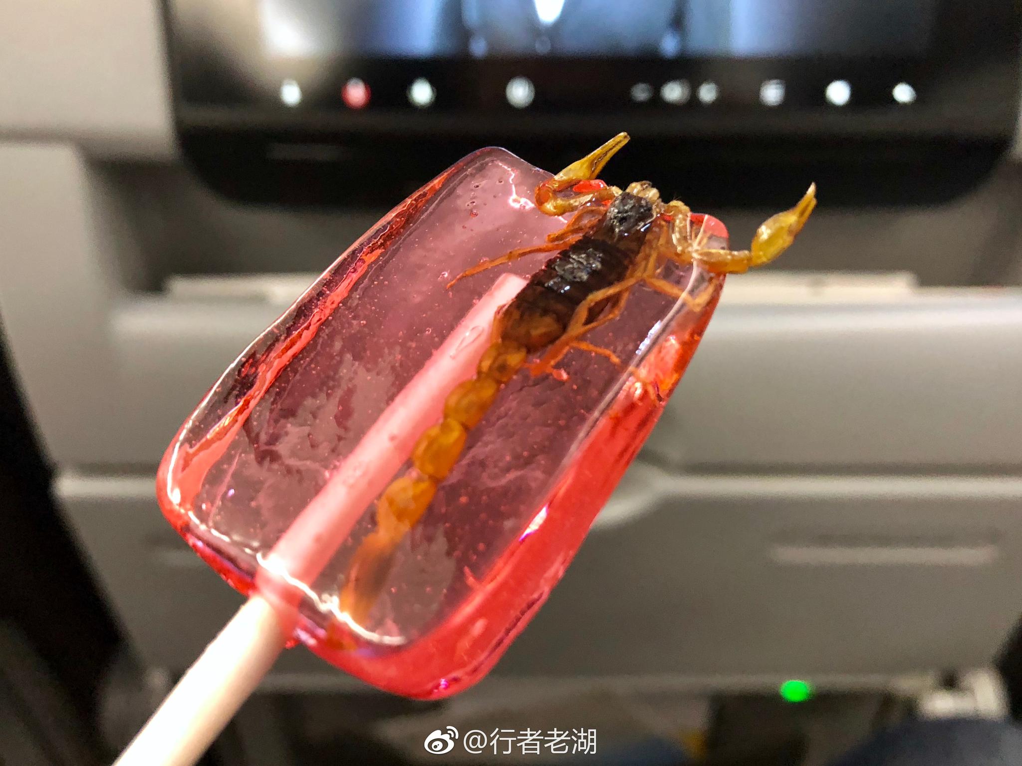 世界上最可怕最奇怪的棒棒糖,没有之一,蝎子棒棒糖,你敢吃吗|棒棒糖|